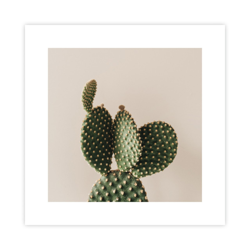 Kaktus Plakat
