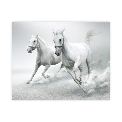 Plakat Białe konie : Rozmiar - 40x50 cm
