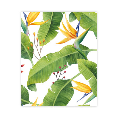 Plakat Liście bananowca : Rozmiar - 40x50 cm